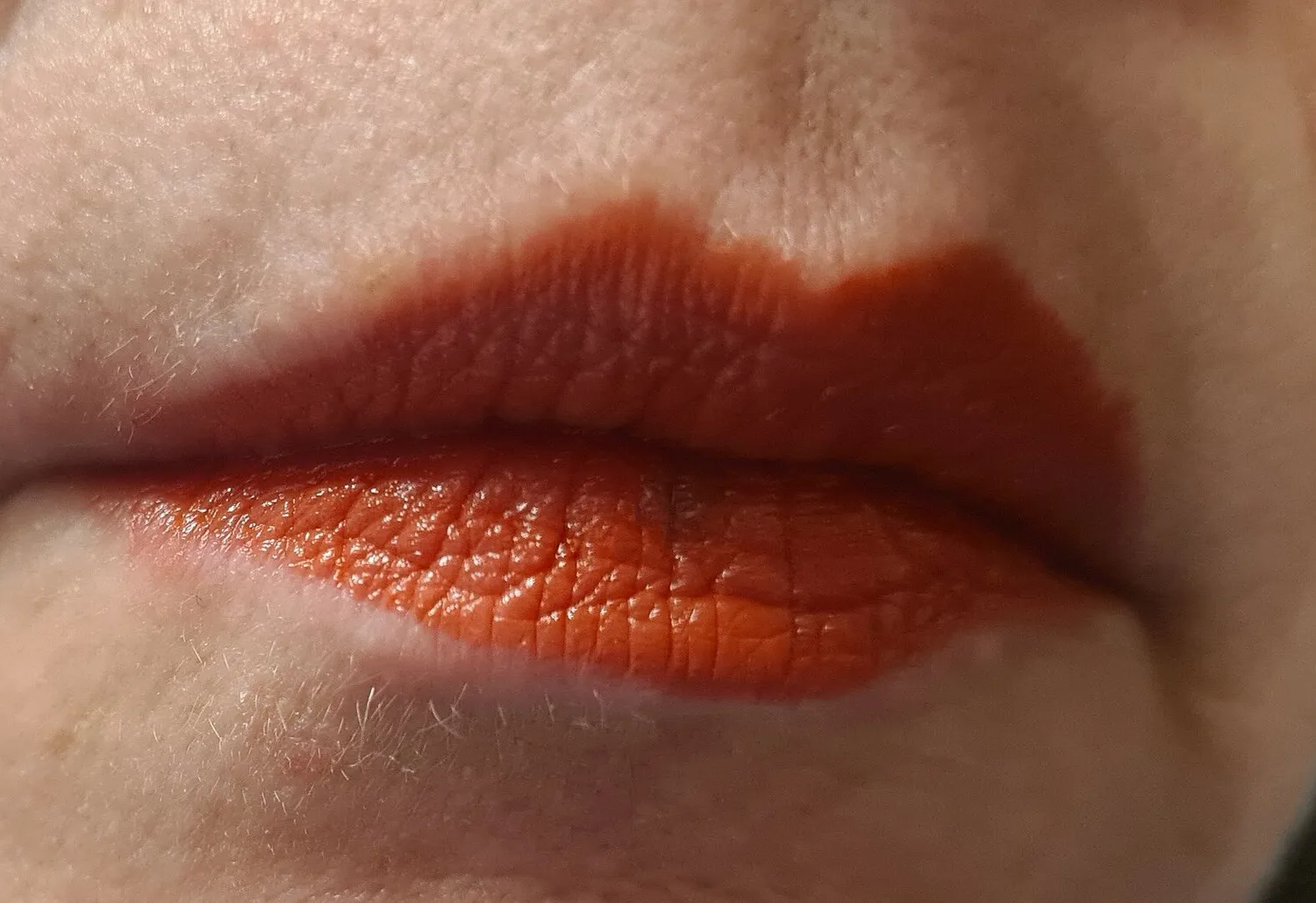 ARTDECO Perfect Color Lipstick 834 rosewood rouge cremig