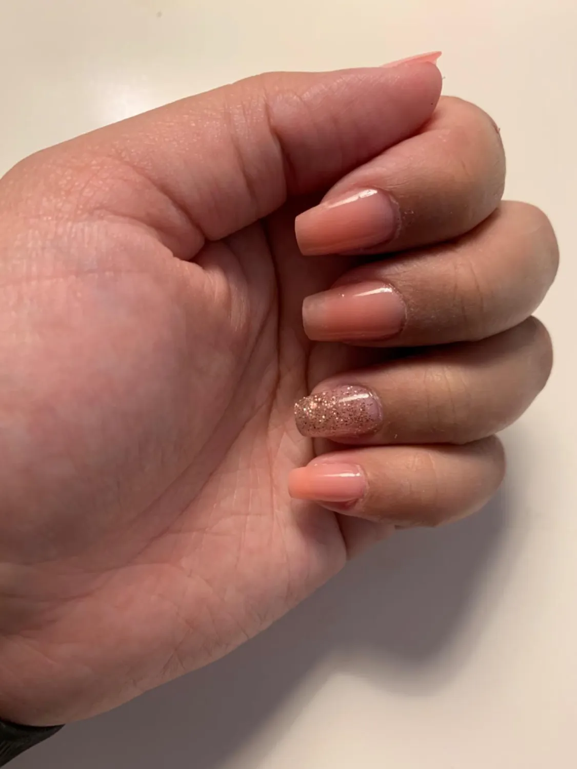 Janolia Nagelverlängerung Gel Starter Set 6 Farben