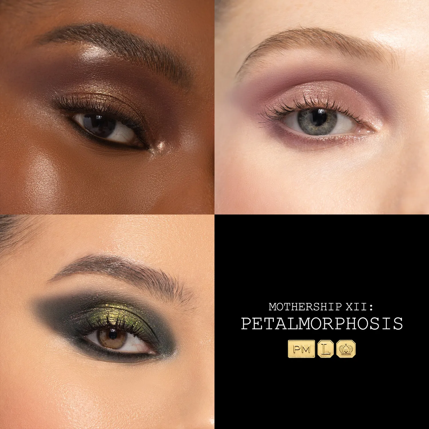 Pat McGrath Labs Mothership XII Petalmorphosis Lidschatten Black Case