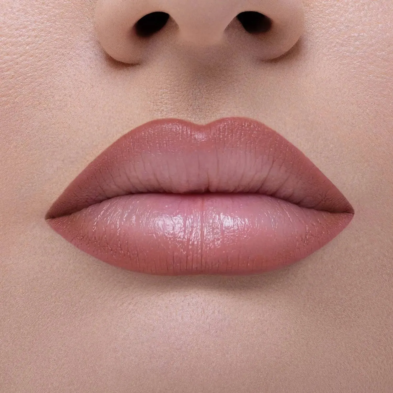Natasha Denona I Need A Nude Lip Crayon Nina 1,2 g