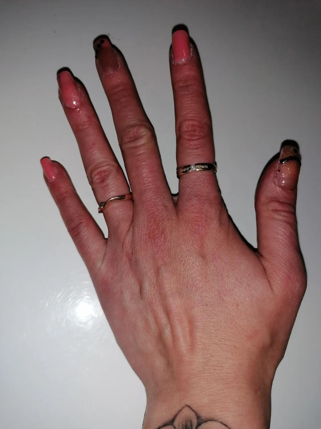 Janolia Nagelverlängerung Gel Starter Set 6 Farben