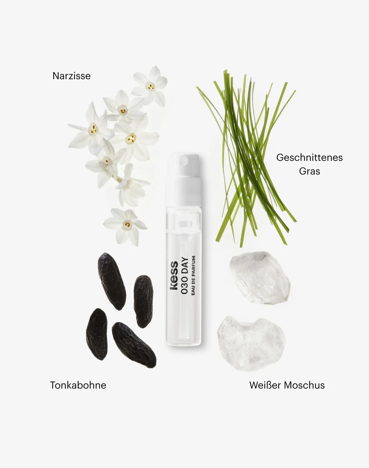 Kess Berlin Discovery Set Parfum Probenset Day Night