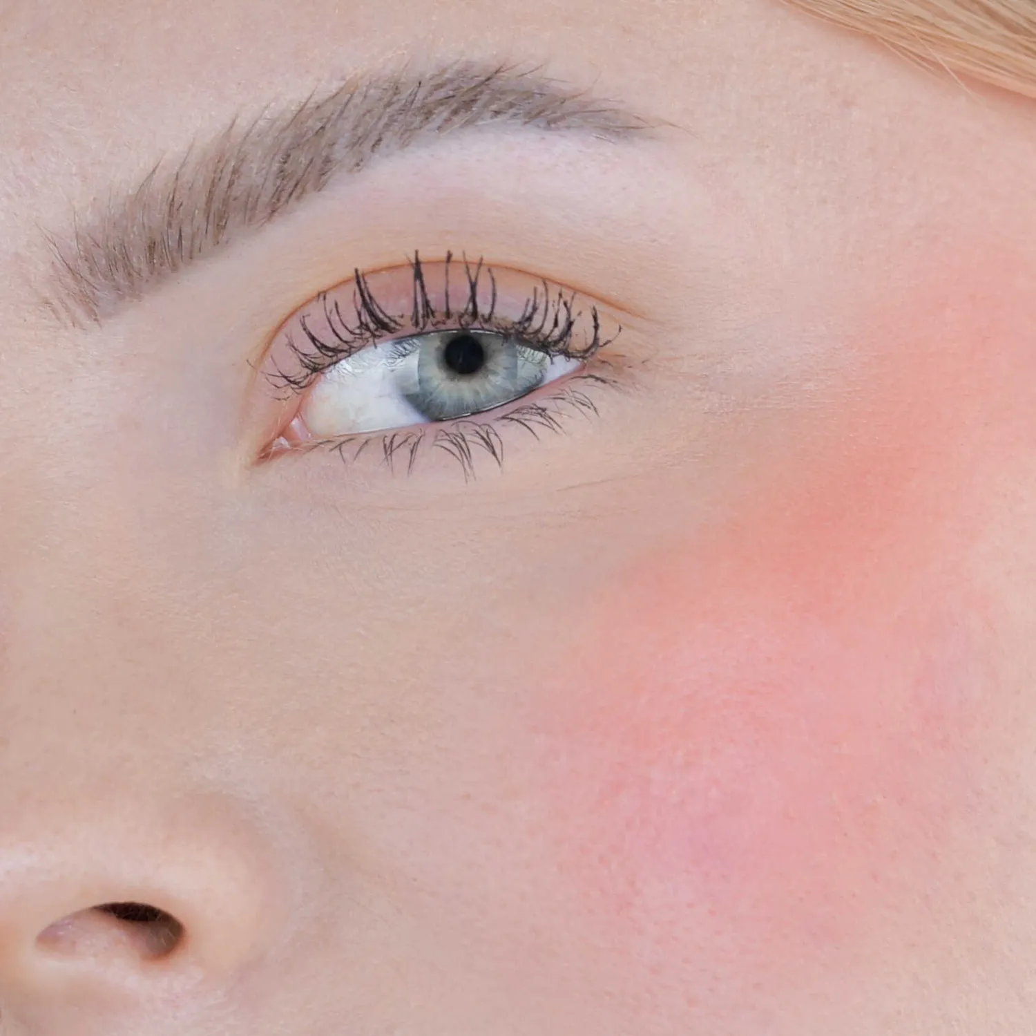 fleeky Blush Stick Blossom Rouge Stick 2-in-1 Pinsel
