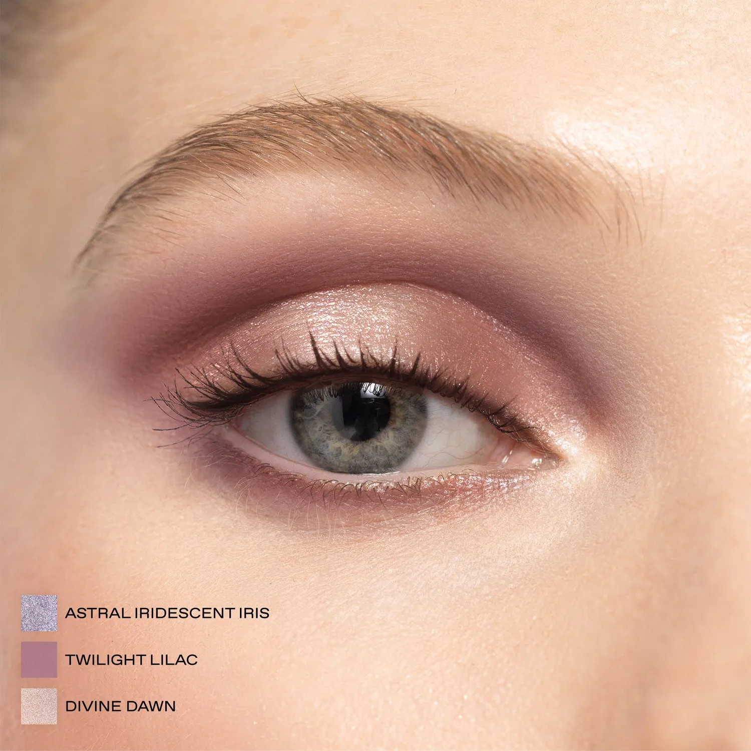 Pat McGrath Labs Mothership XII Petalmorphosis Lidschatten Black Case
