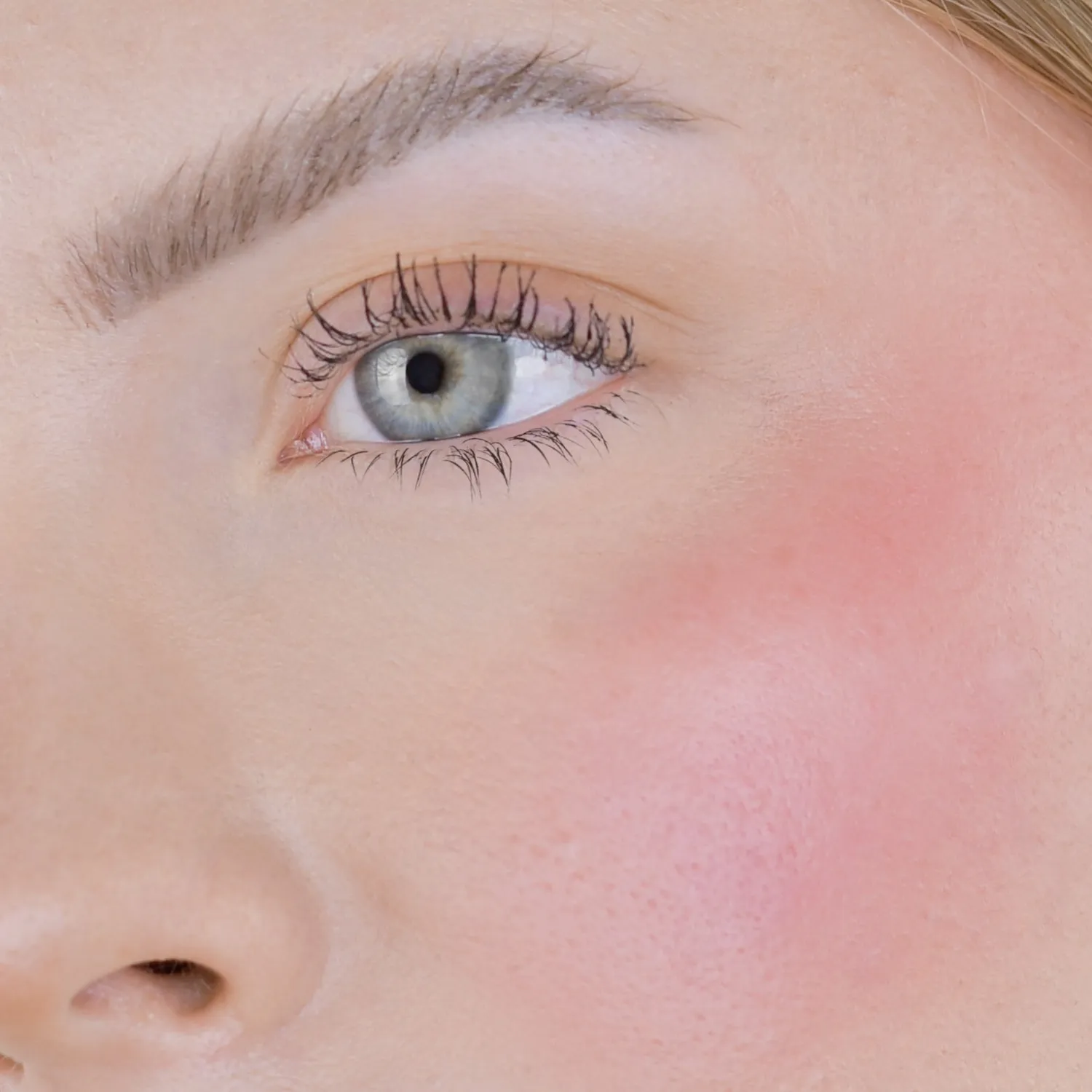 fleeky Blush Stick Rouge Stick Plum matt